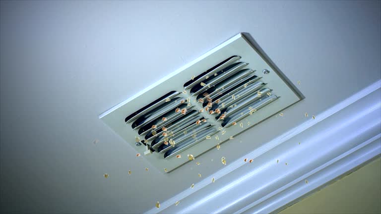 Best Affordable Air Duct Cleaning  in Port Hadlock Irondale, WA